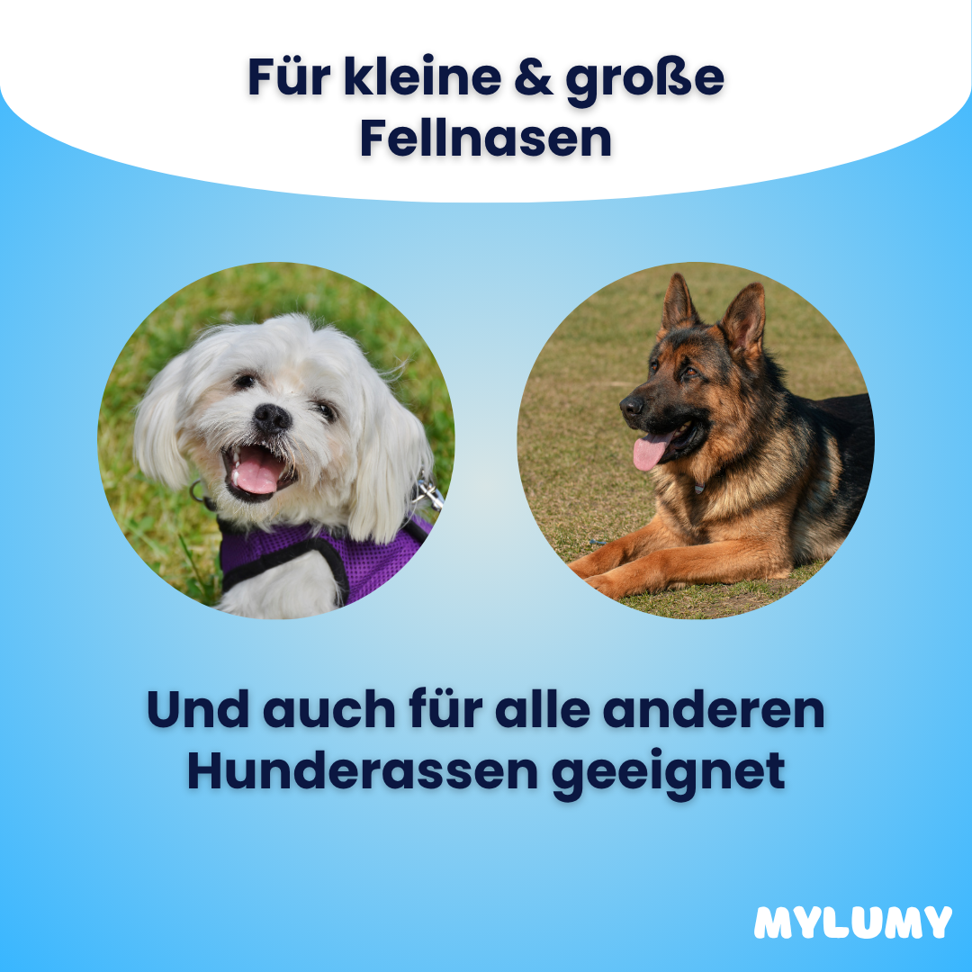 Trinkpfote - Der Bestseller