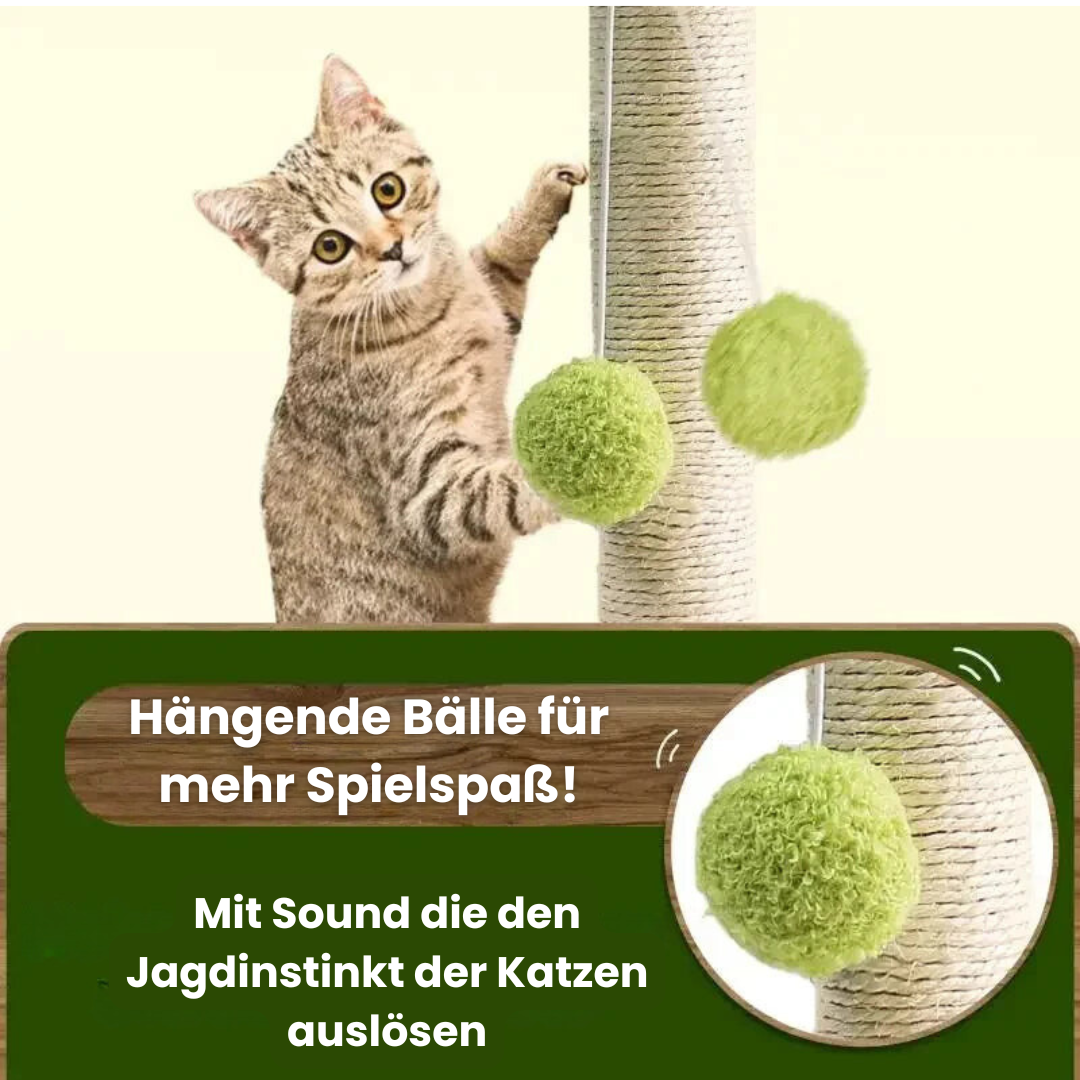 Kratzpalme