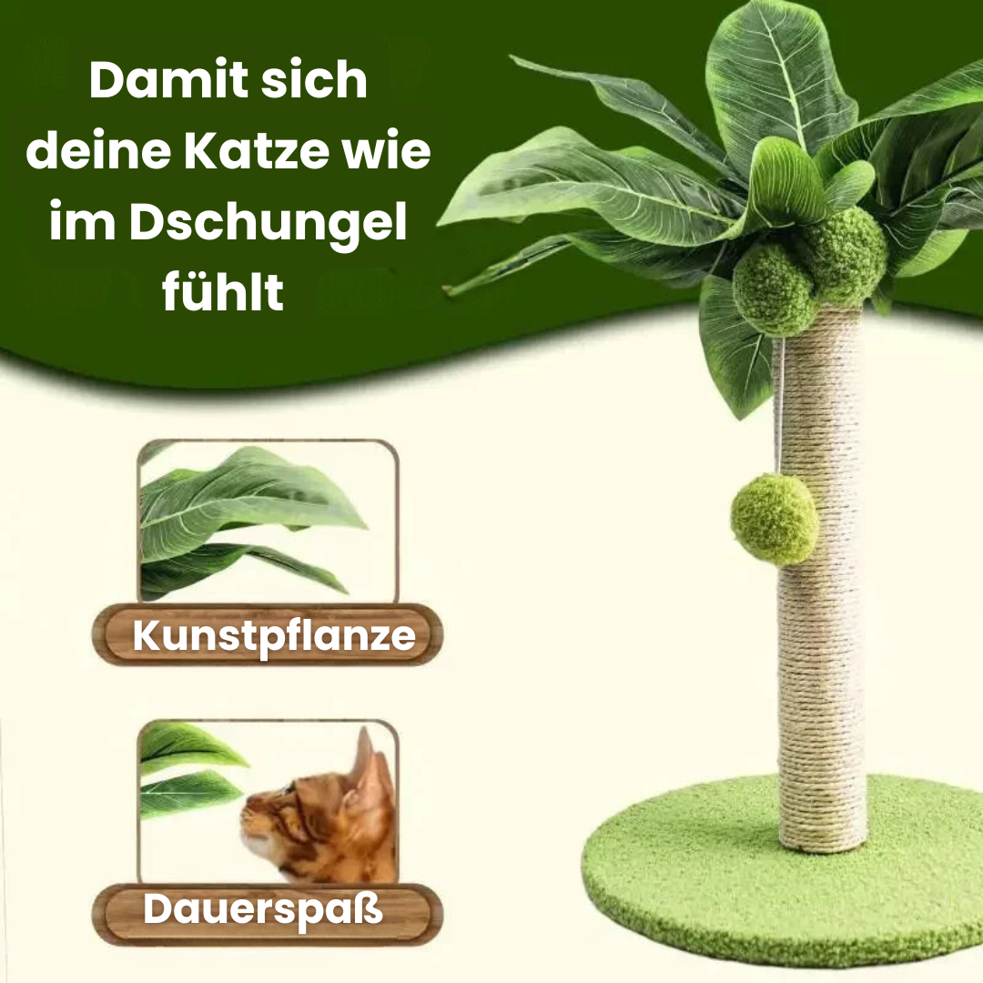Kratzpalme