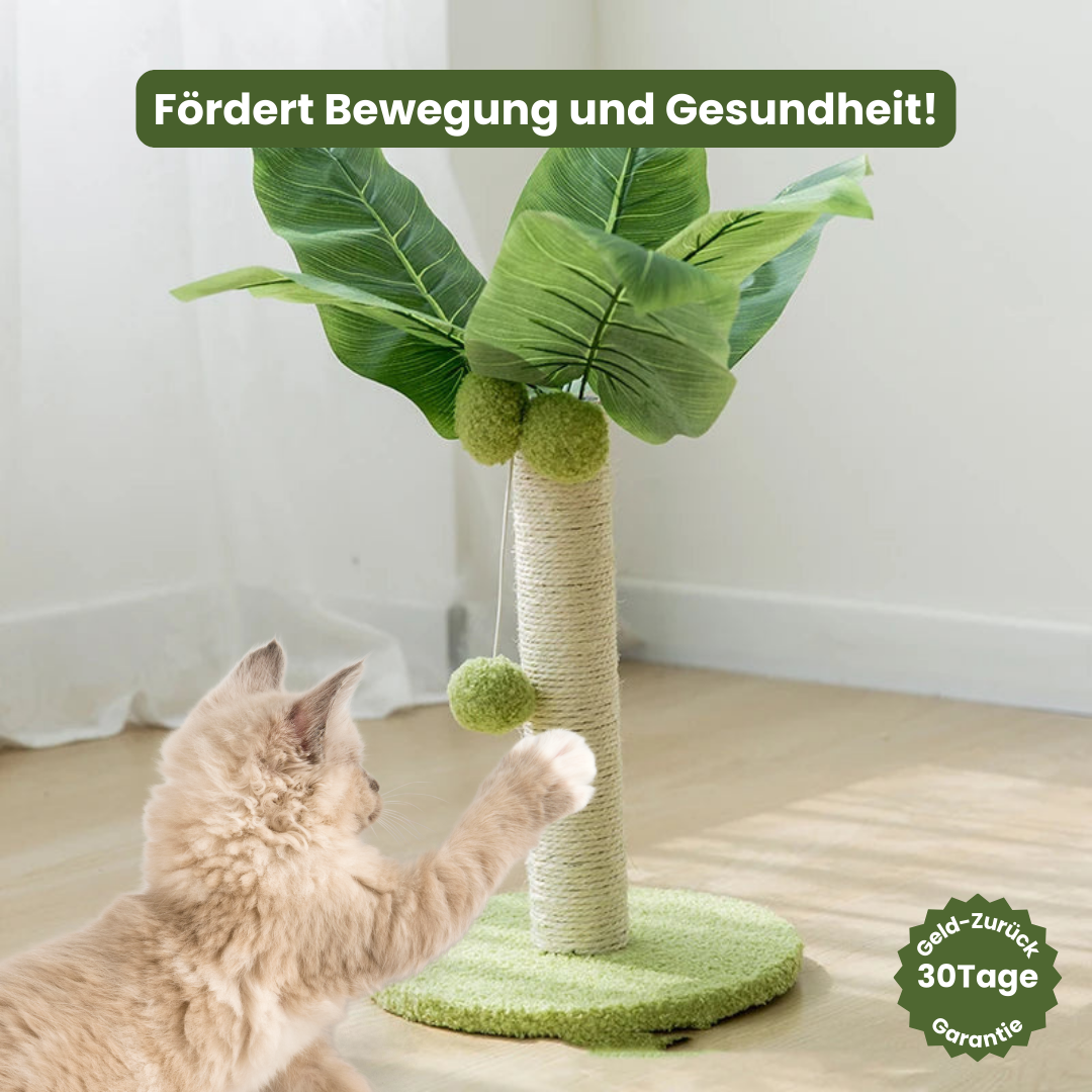 Kratzpalme
