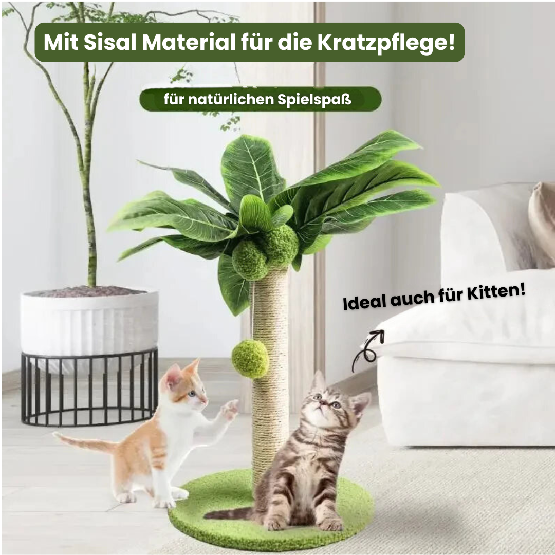 Kratzpalme