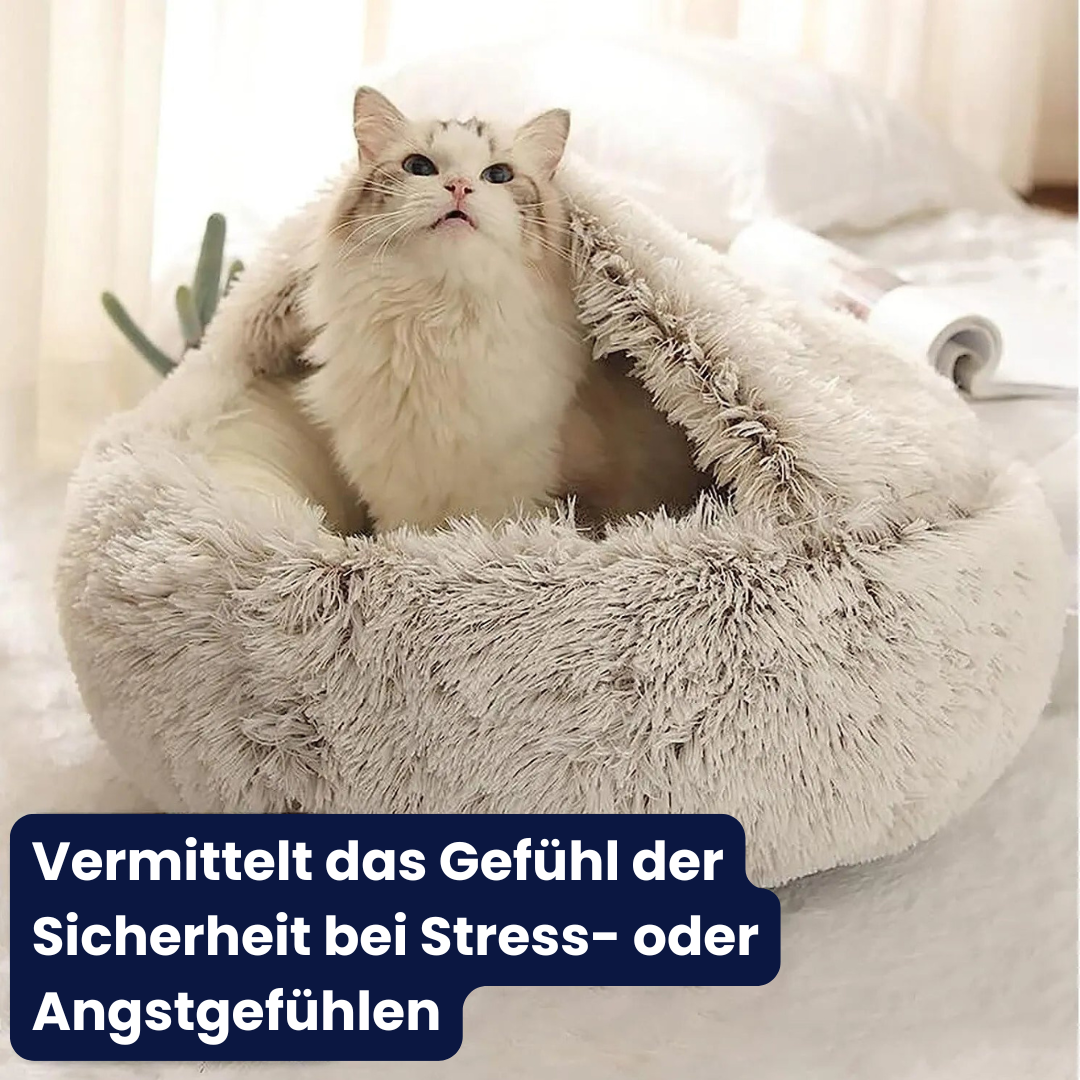 CozyCave