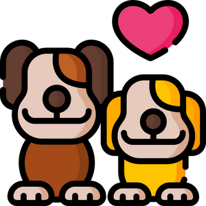 Lumin Theme