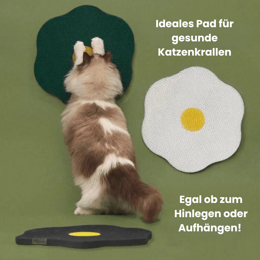 Pfotenblume - Der Bestseller