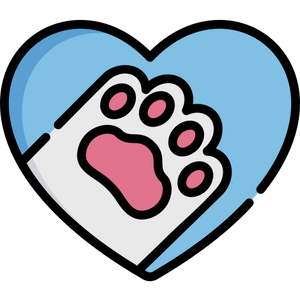 Lumin Theme