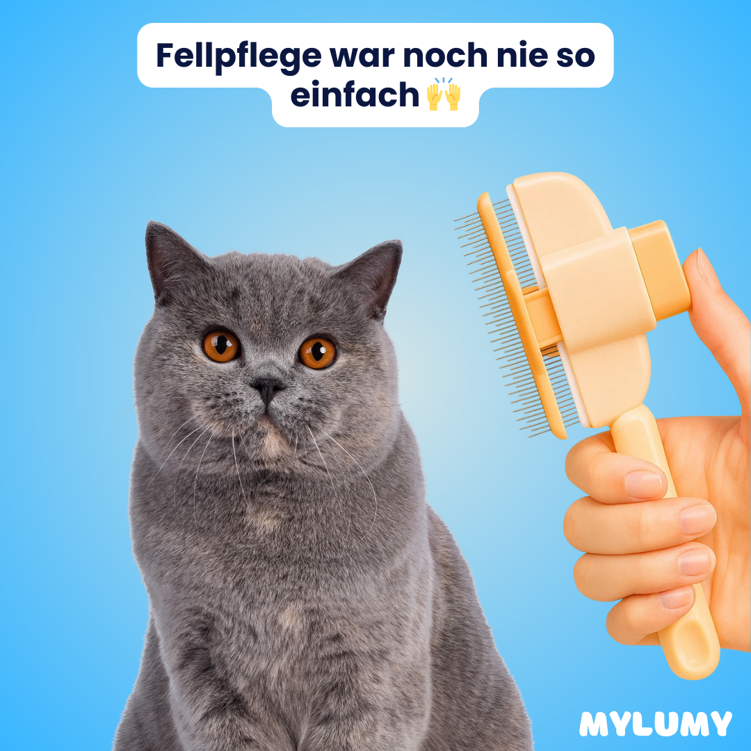 Fellzauber - Der Bestseller
