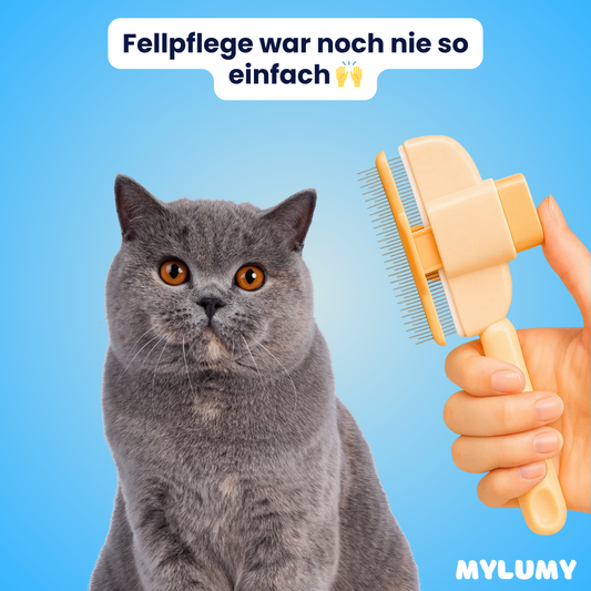 Fellzauber - Der Bestseller
