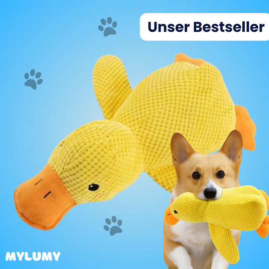 DuckBuddy - Der Bestseller