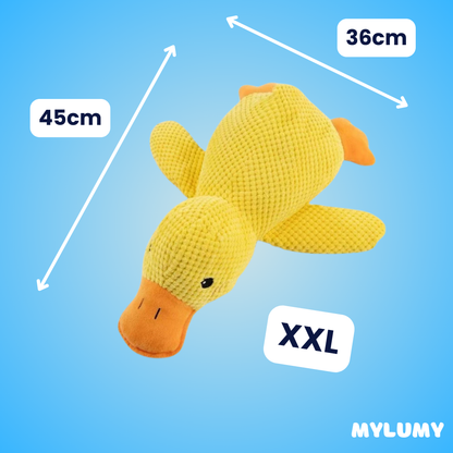 DuckBuddy - Der Bestseller
