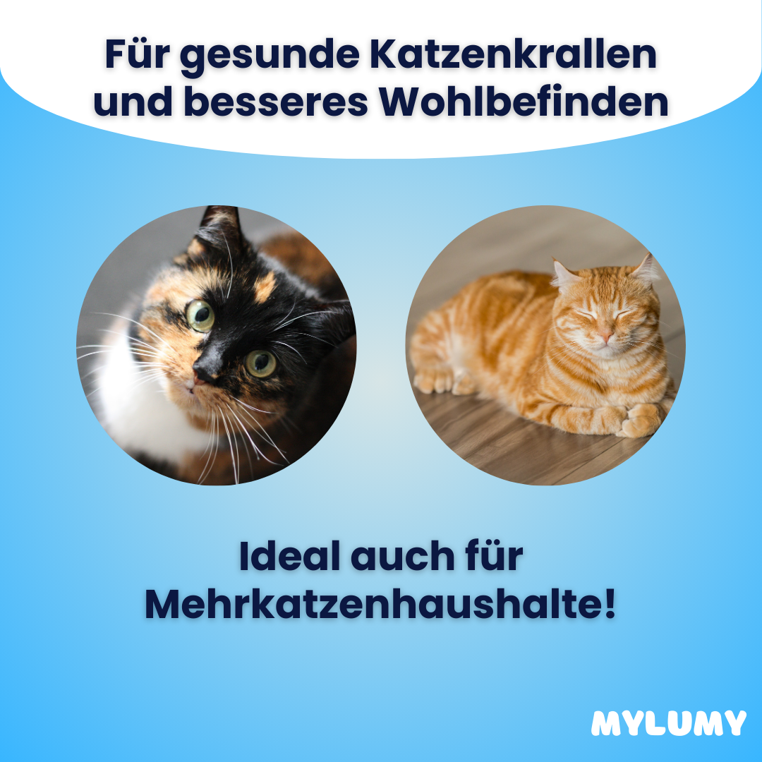 Kratzmatte - Der Bestseller