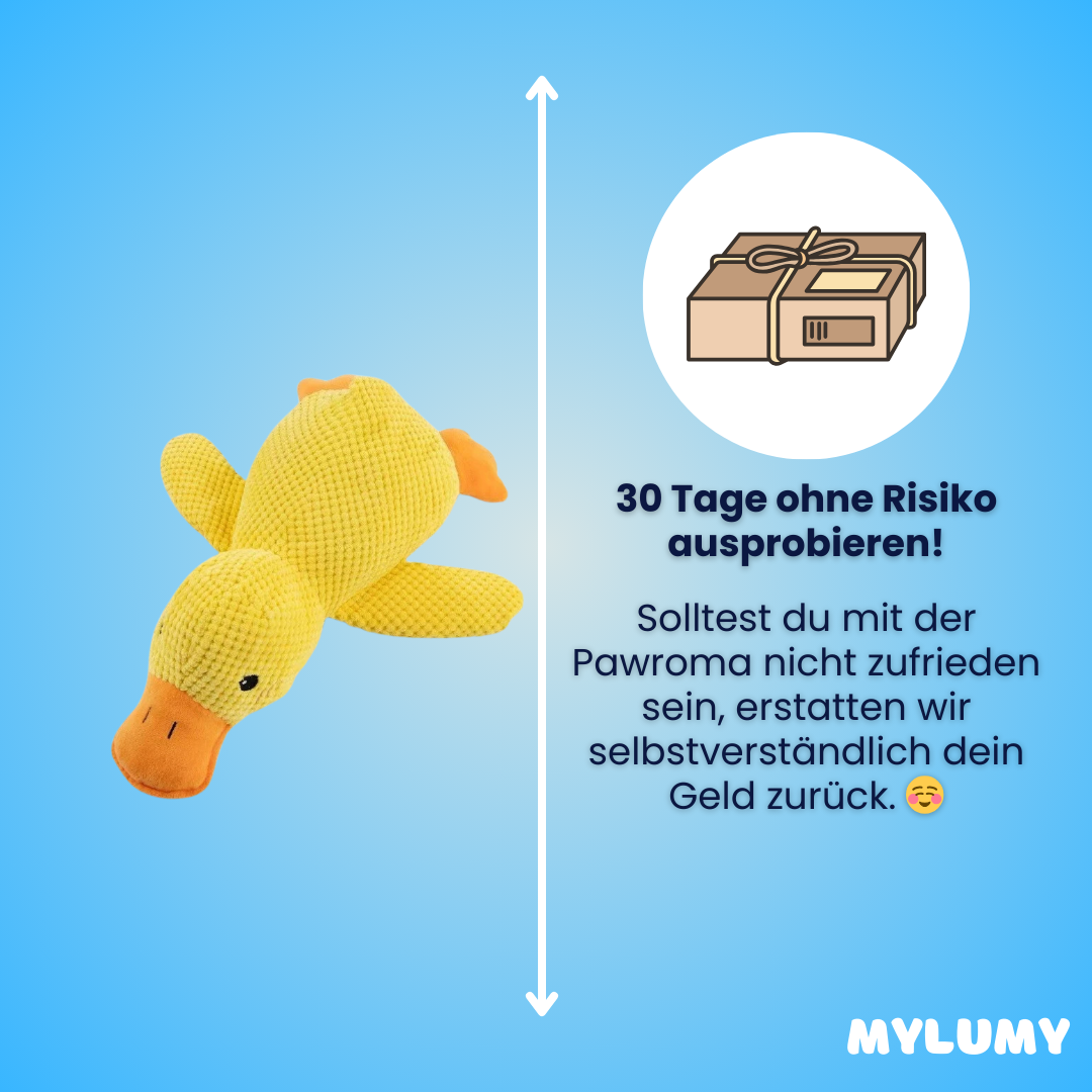 DuckBuddy - Der Bestseller