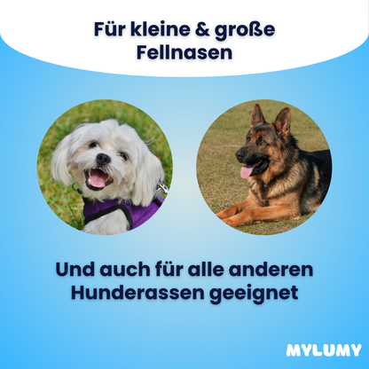 Trinkpfote - Der Bestseller