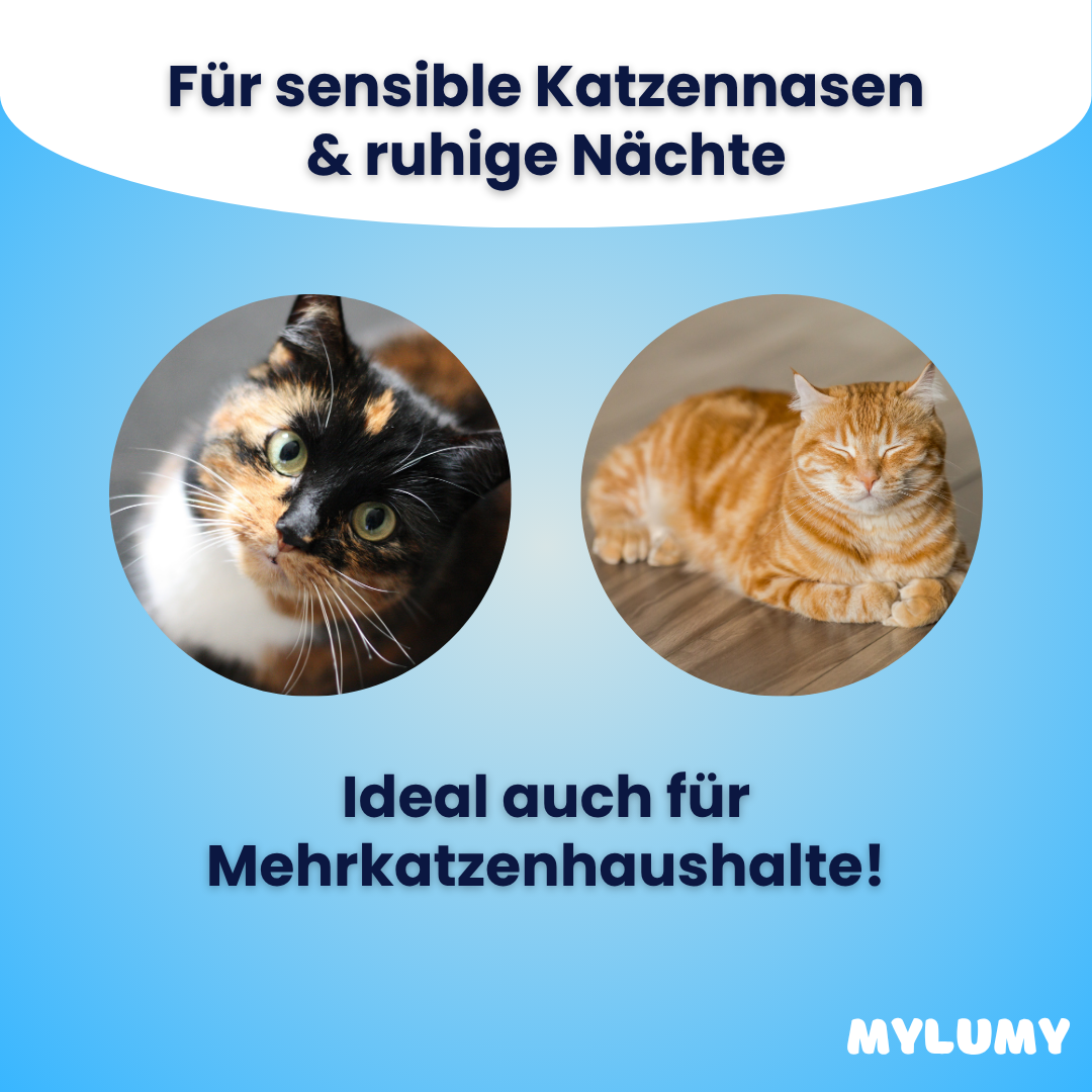 Pawroma - Der Bestseller