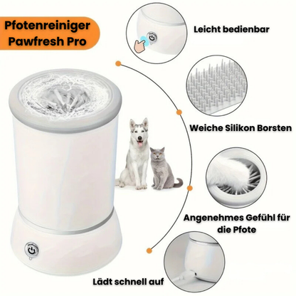 Pfotenglanz