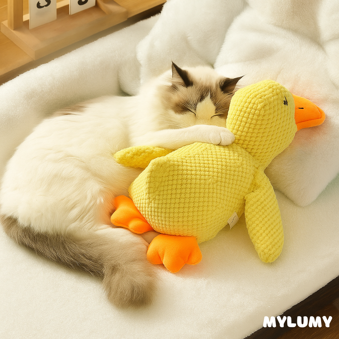 DuckBuddy - Der Bestseller