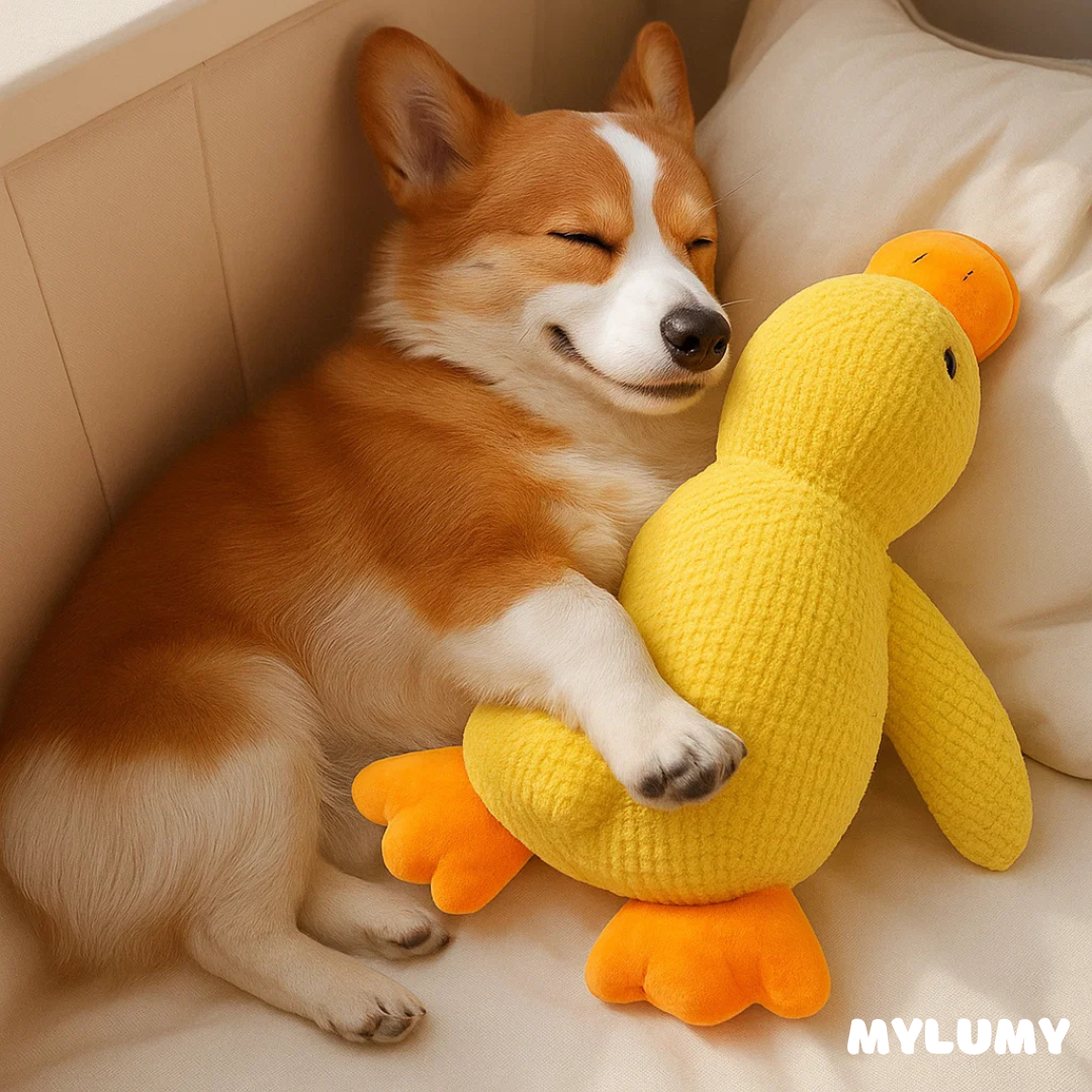 DuckBuddy - Der Bestseller