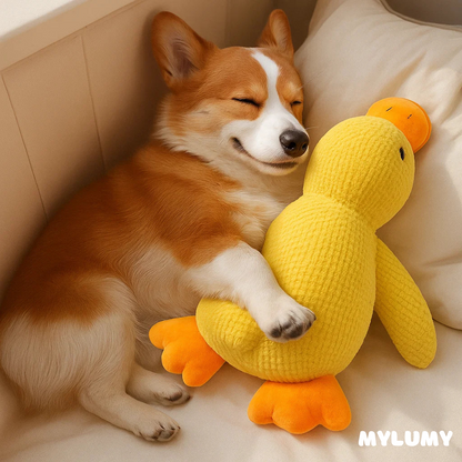 DuckBuddy - Der Bestseller