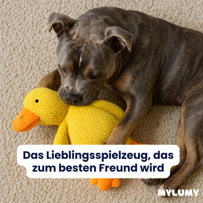 DuckBuddy - Der Bestseller
