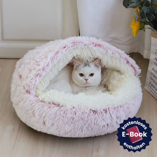 CozyCave