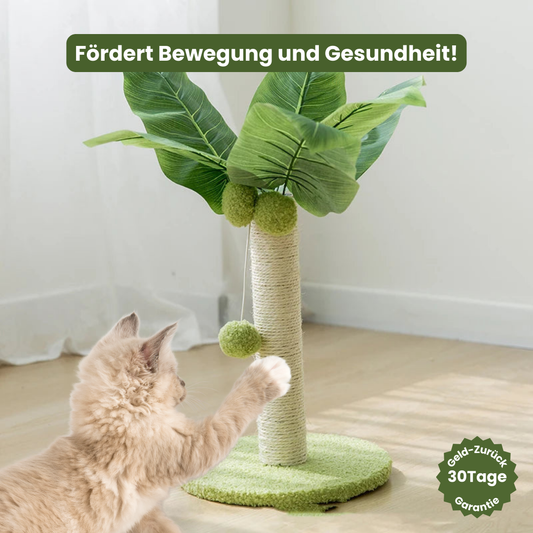 Kratzpalme